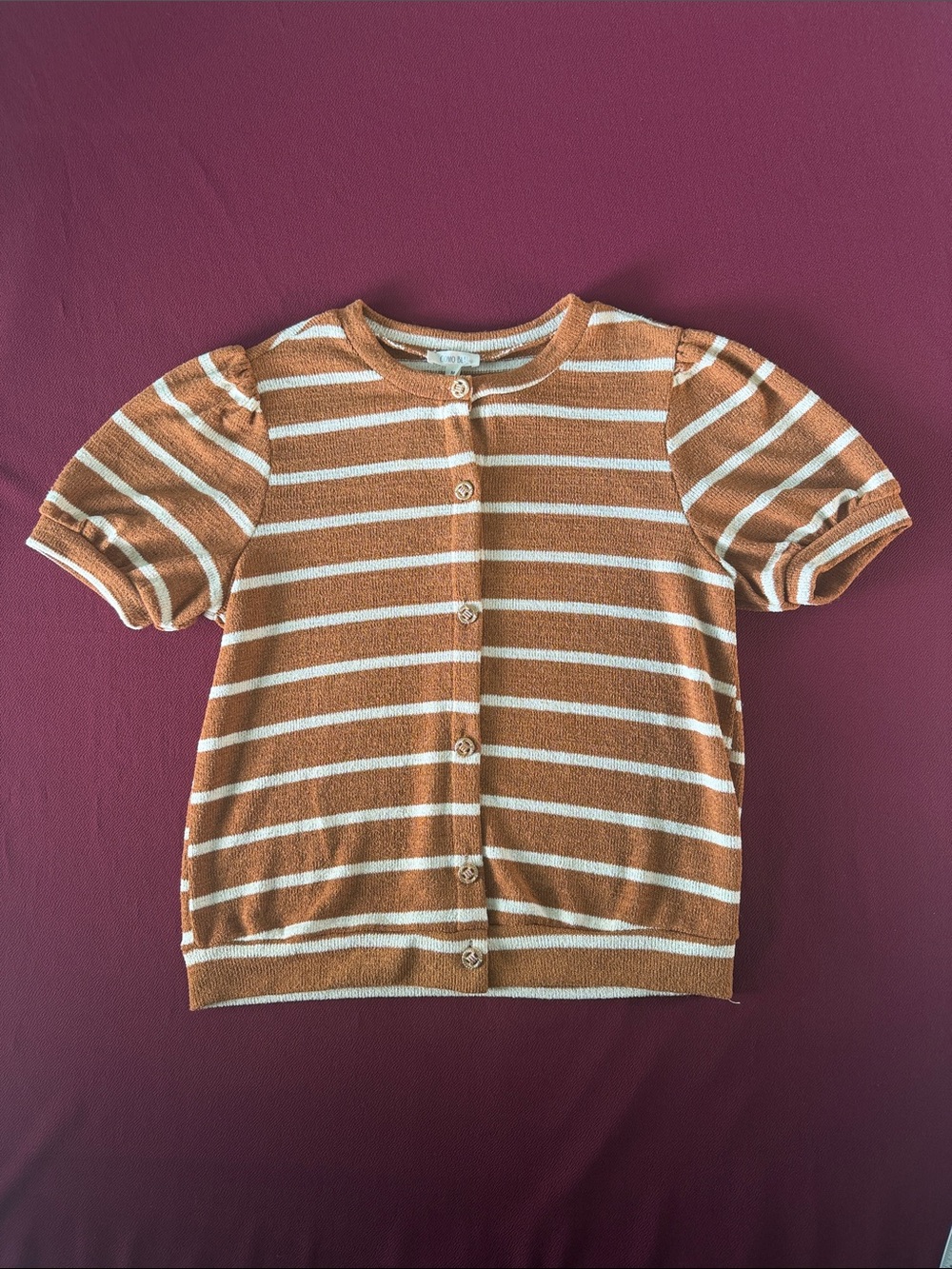 Womens Striped Button-Front Top in Rust and White